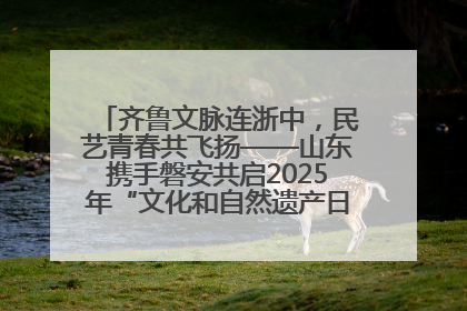 齐鲁文脉连浙中，民艺青春共飞扬——山东携手磐安共启2025年“文化和自然遗产日”系列活动